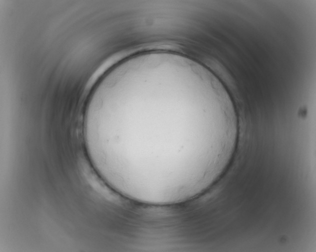 X0000113961044200910161959