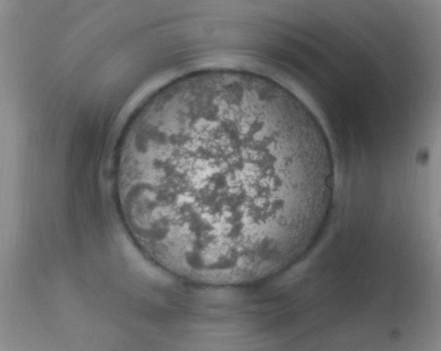 X0000113961045200910161959