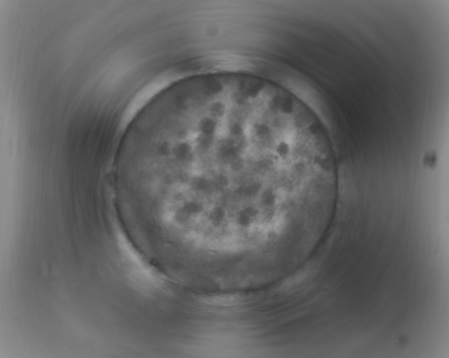 X0000113961047200910161959