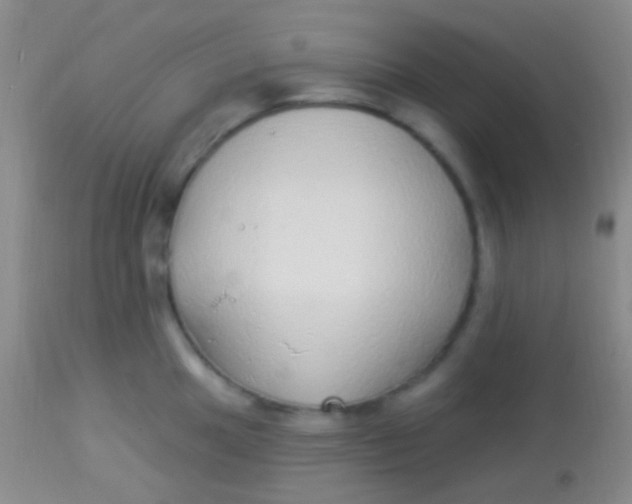 X0000113961049200910161959