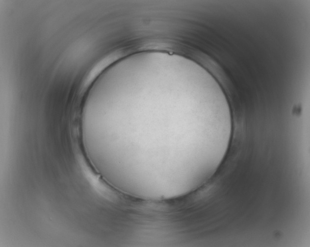 X0000113961050200910161959