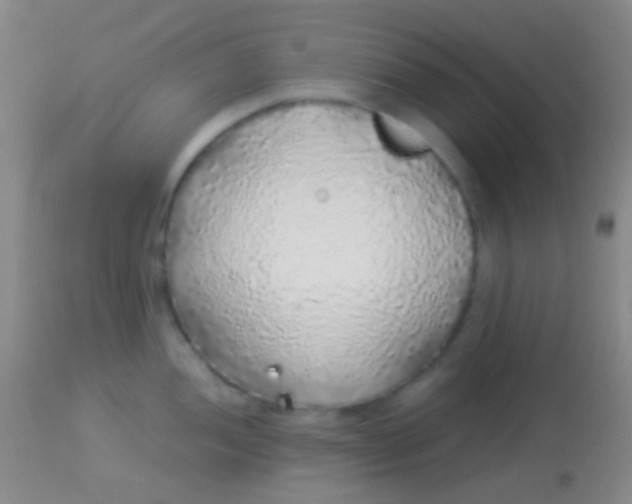 X0000113961052200910161959