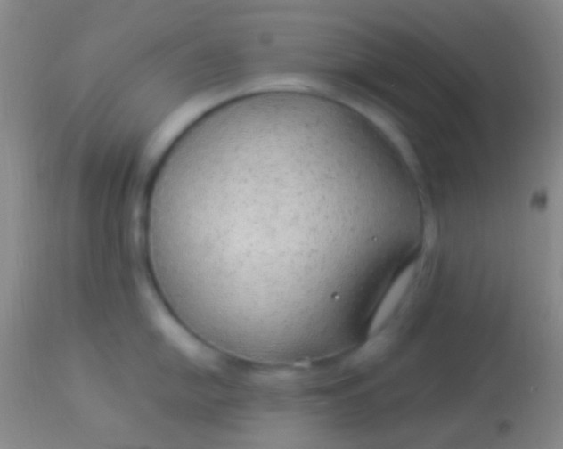 X0000113961054200910161959