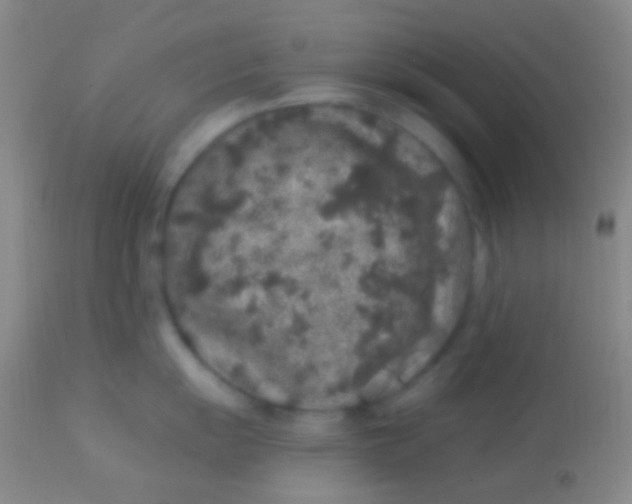 X0000113961055200910161959