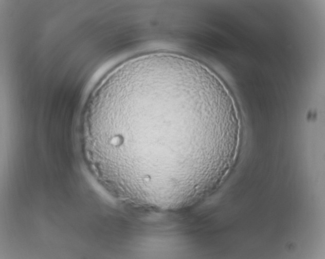 X0000113961056200910161959