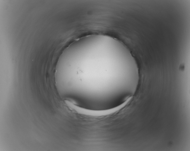 X0000113961057200910161958