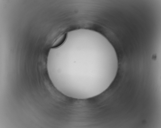 X0000113961058200910161958