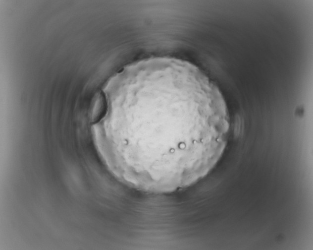 X0000113961059200910161958