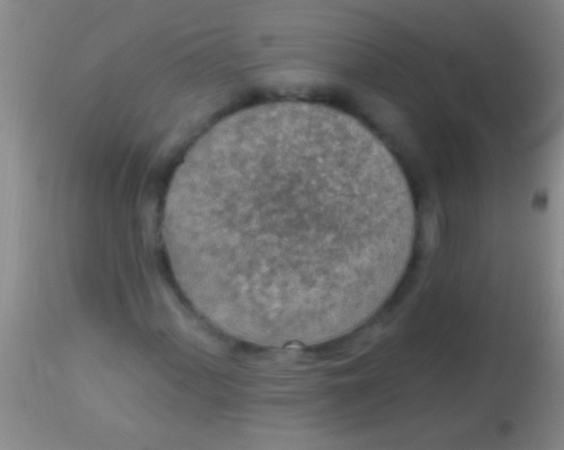 X0000113961060200910161958