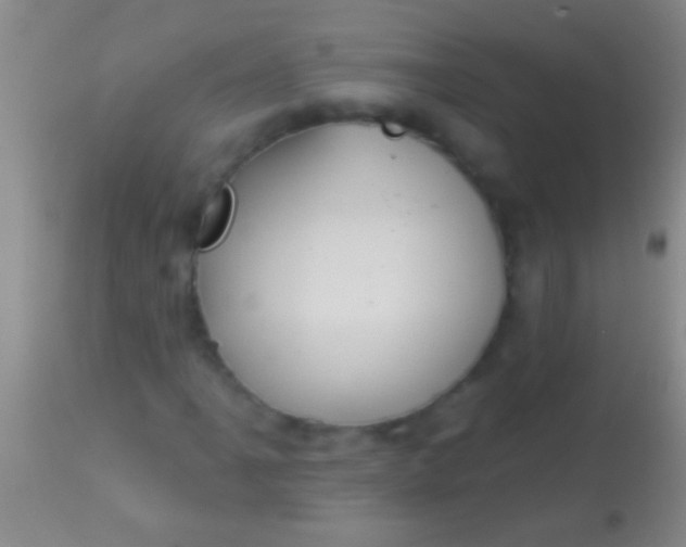 X0000113961061200910161958