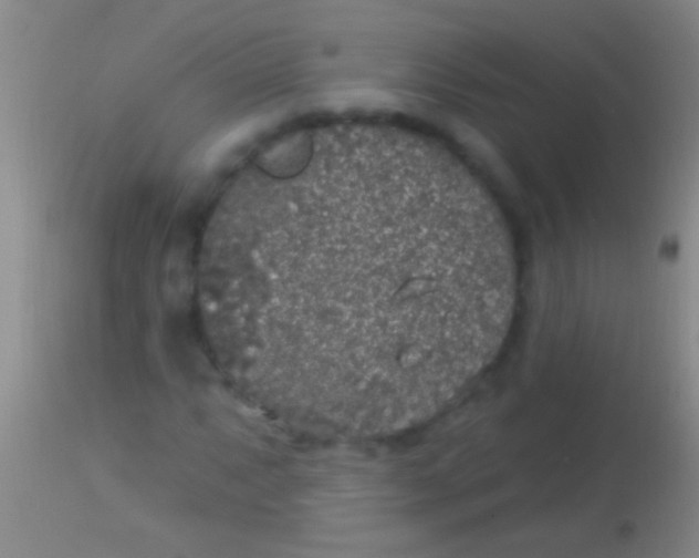 X0000113961063200910161958