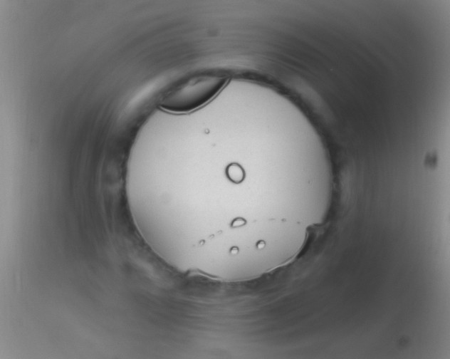 X0000113961064200910161958