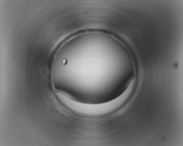 X0000113961065200910161958