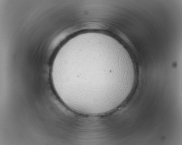 X0000113961067200910161958