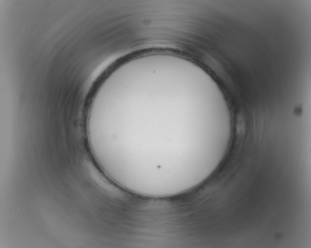 X0000113961068200910161958