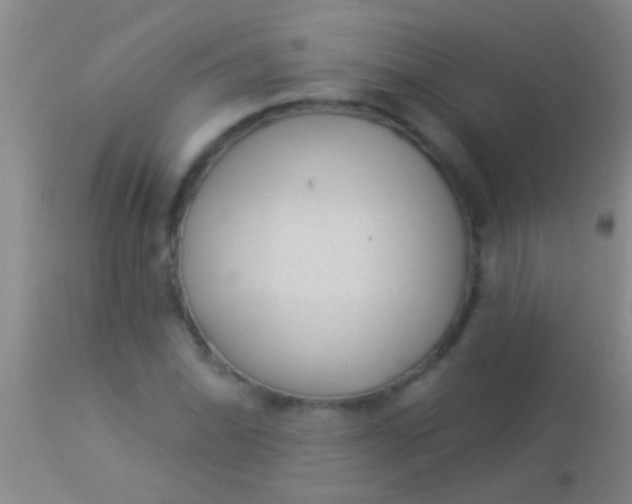 X0000113961070200910161958