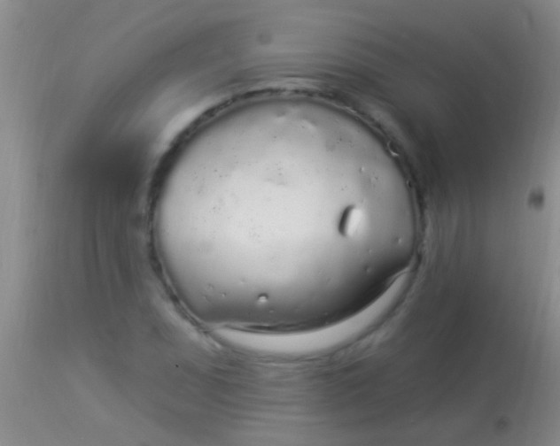 X0000113961071200910161958