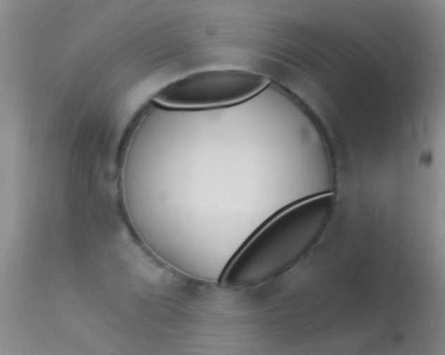 X0000113961072200910161958