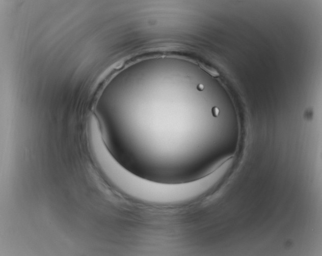 X0000113961073200910161958