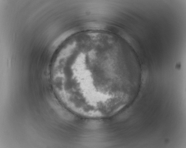 X0000113961074200910161958