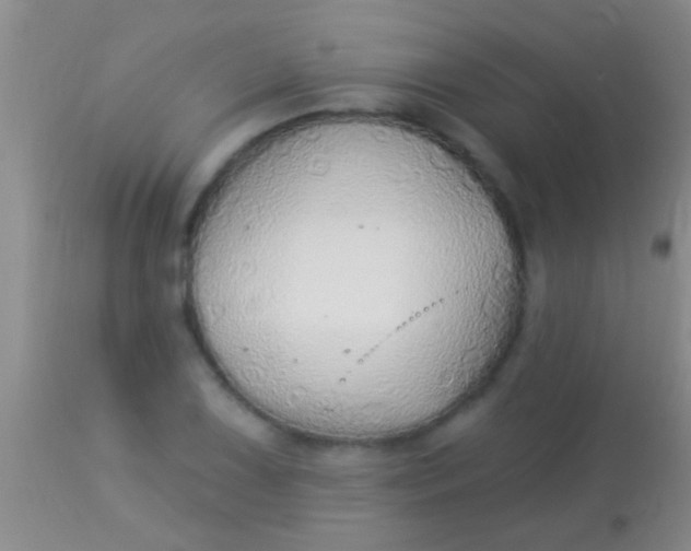 X0000113961075200910161958