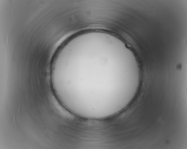 X0000113961076200910161958