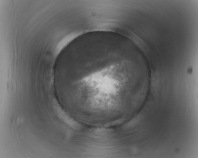 X0000113961077200910161958