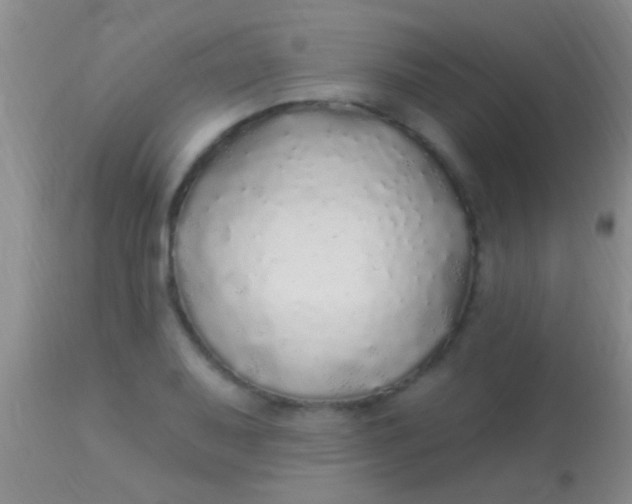 X0000113961079200910161958