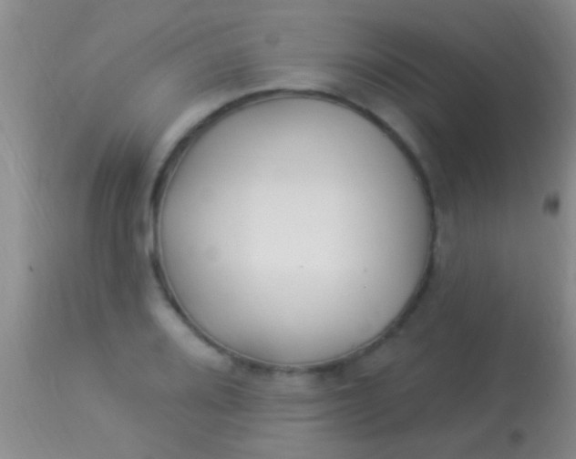 X0000113961080200910161958