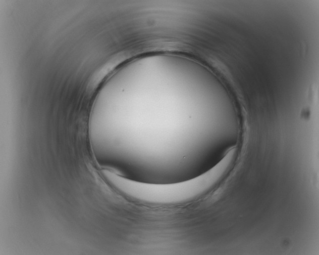 X0000113961081200910161958