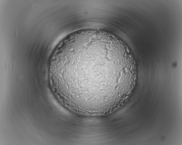 X0000113961083200910161958