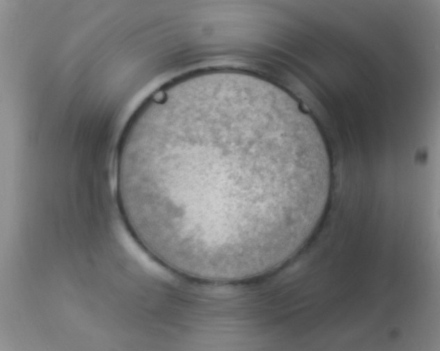 X0000113961084200910161958