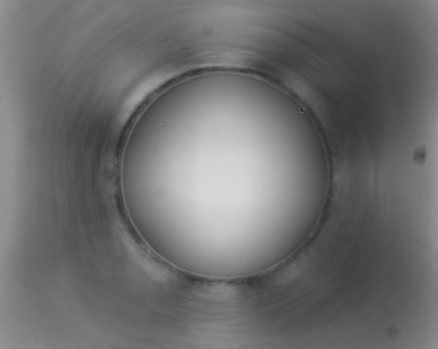 X0000113961085200910161958