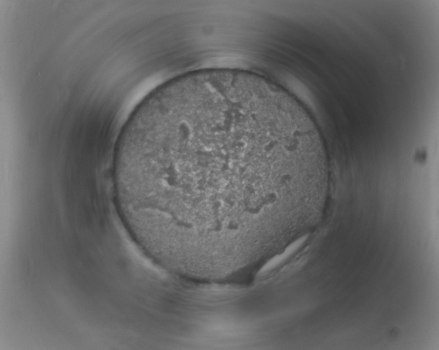 X0000113961087200910161958