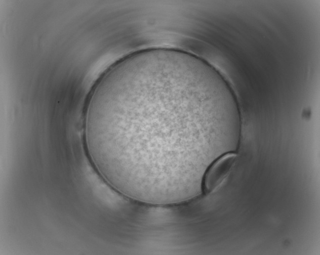 X0000113961088200910161958