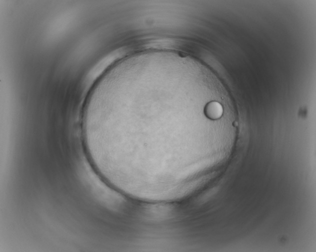 X0000113961090200910161958