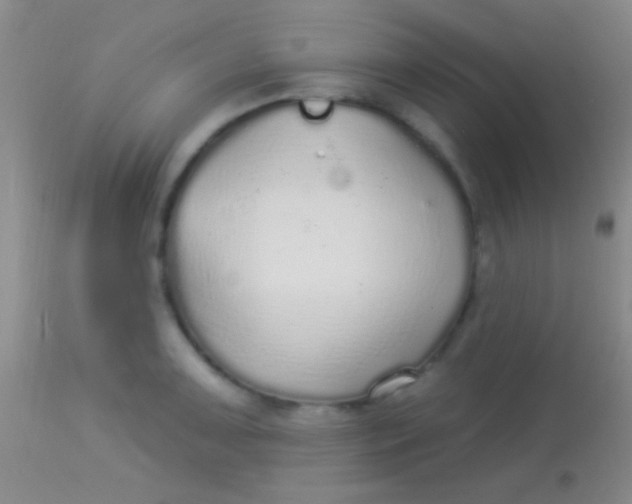 X0000113961091200910161957