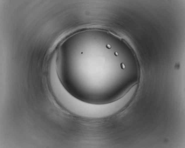 X0000113961093200910161957