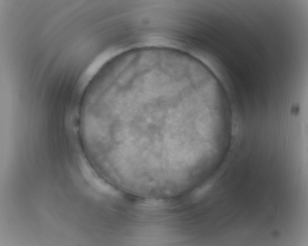 X0000113961094200910161957