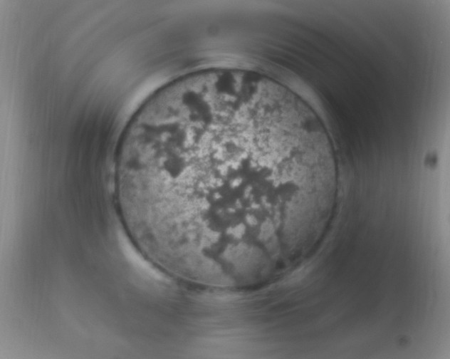 X0000113961095200910161957