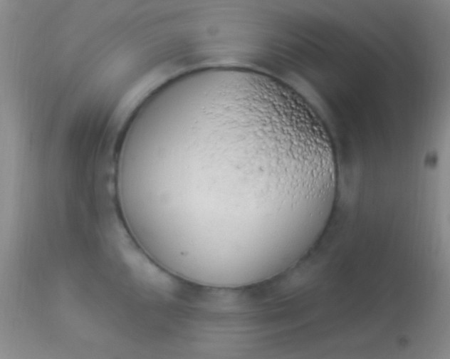 X0000113961096200910161957