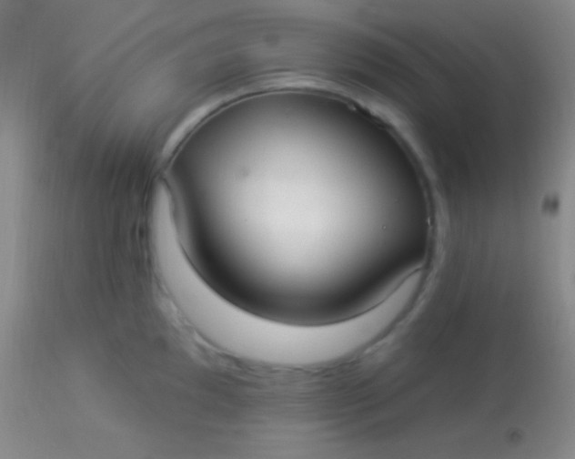 X0000113961097200910161957