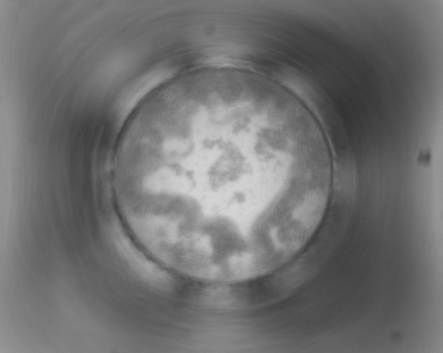 X0000113961098200910161957