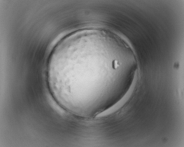 X0000113961099200910161957