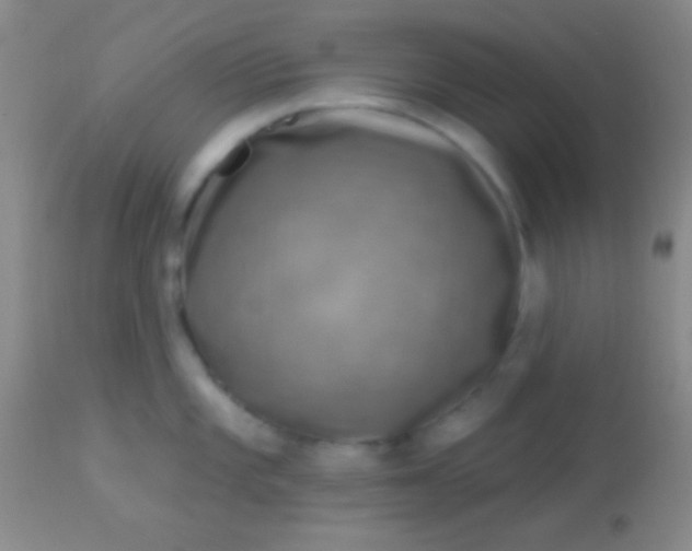 X0000113961101200910161957