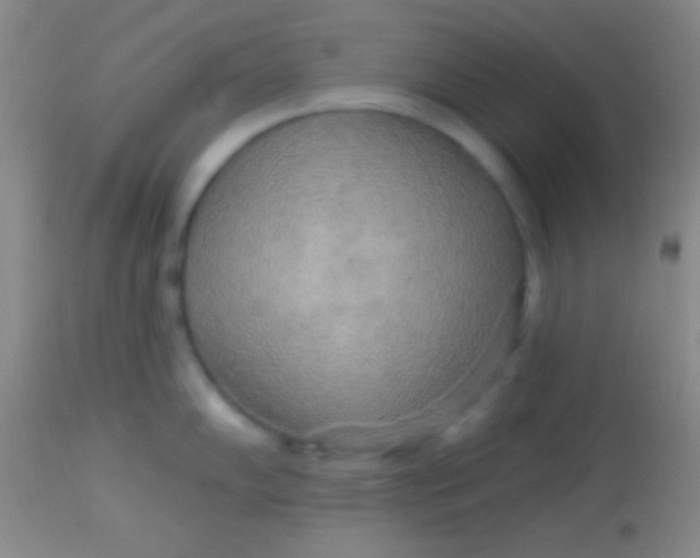 X0000113961102200910161957