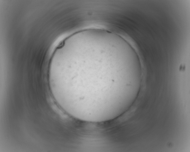 X0000113961104200910161957