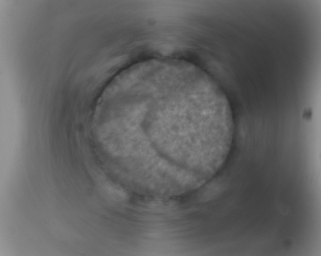 X0000113961105200910161957