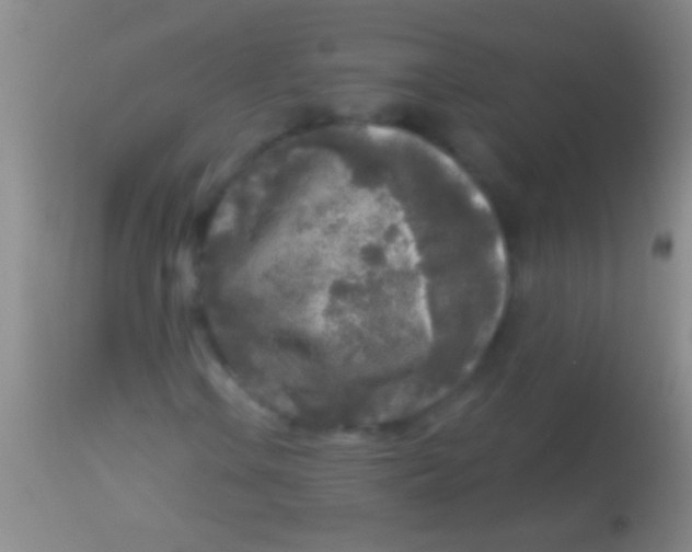 X0000113961106200910161957