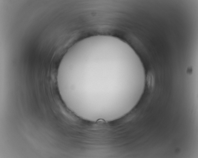 X0000113961107200910161957